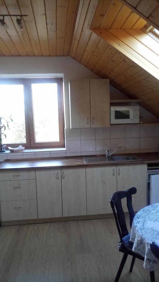 Apartmany Nad Otavou Zvíkovské Podhradí Bagian luar foto